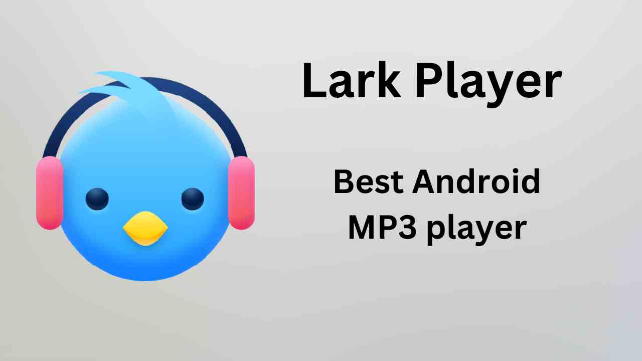 Lark player